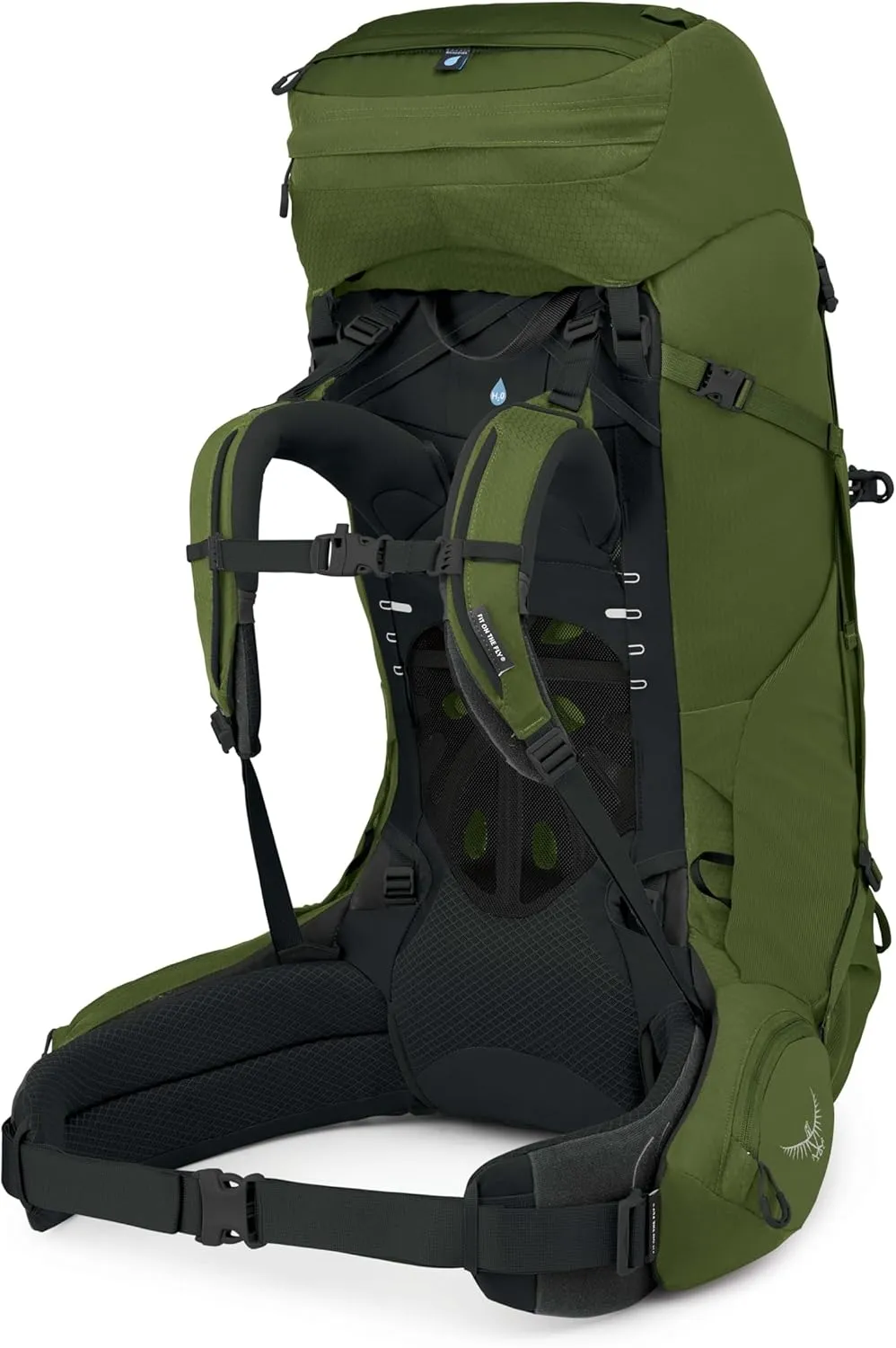Osprey Aether 65L Men's Backpacking Backpack, Garlic Mustard Green, L/XL, Extended Fit